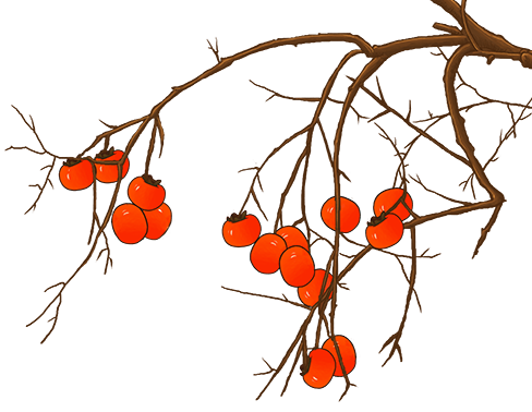 640 (3).png
