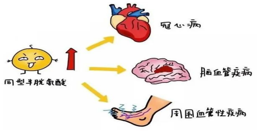 1699836763472309.png